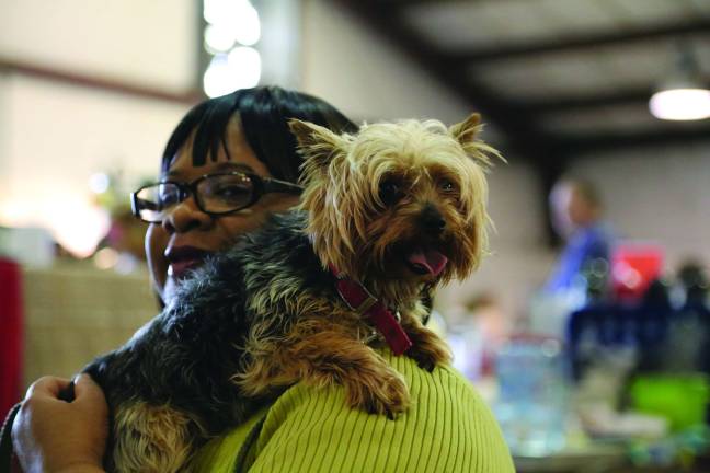 Furry, feathered and slimy friends Nadine Munoz of Franklin with her Yorkie, Onyx at the Pet Expo.