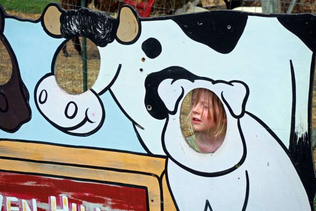 This young visitor wasn&#x2019;t so sure about putting her face through the hole in the cow display board.