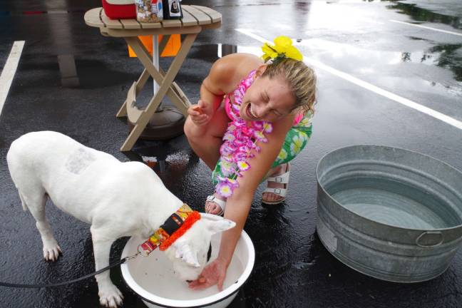 It&#xfe;&#xc4;&#xf4;s Your Dog employee Idamarie Pallone encourages Teddy the Bull Terrier as he bobs for hotdogs at the company&#xfe;&#xc4;&#xf4;s Doggie Luau. The dog belongs to former Hamburg resident Karin Hartman.