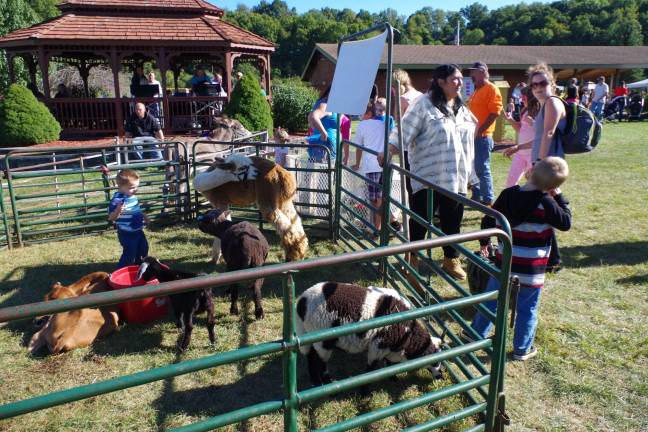 The petting zoo was popular with both children and adults.