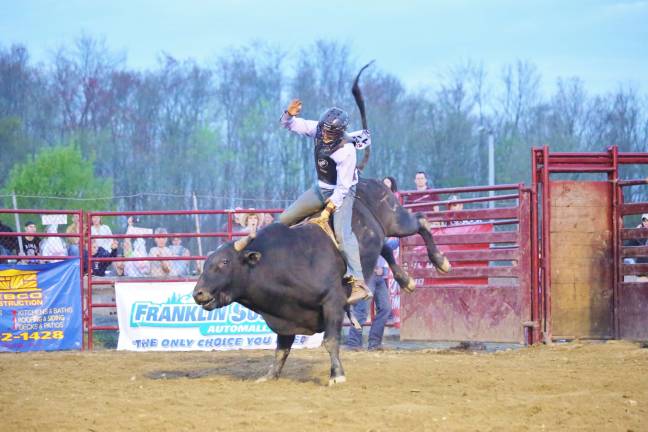 Bull Riding at the Professional Rodeo.