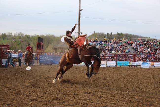 Giddy up Bareback bronc riding at the Rodeo.