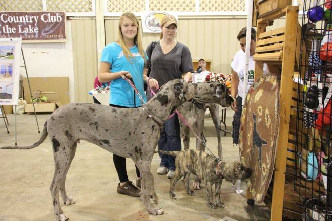 Furry friends fill Fairgrounds Amy Dopson, Romeo and Cruizer of Fredon and Tracy McCabe of Franklin with Sasha.