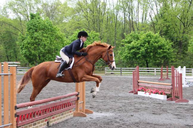 Furry friends fill Fairgrounds Horse jumping on Pet Expo day at the fairgrounds.