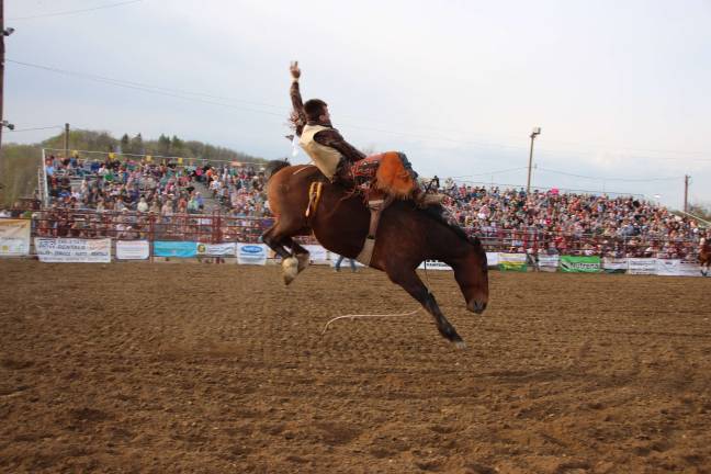 Giddy up Giddy up