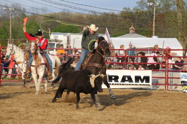 Team Roping at the Rodeo.