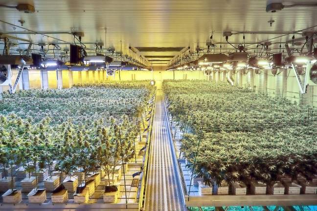 No closure yet on medical marijuana facility proposed for Lafayette Harmony's Secaucus plant (harmonydispensary.org)