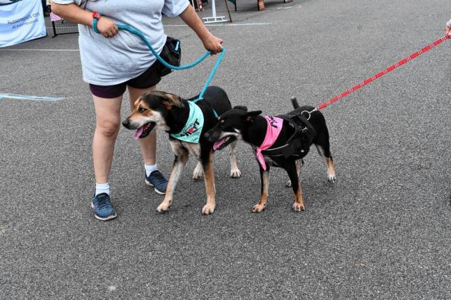 Pet Lovers Fest Volunteers held dogs available for adoption.
