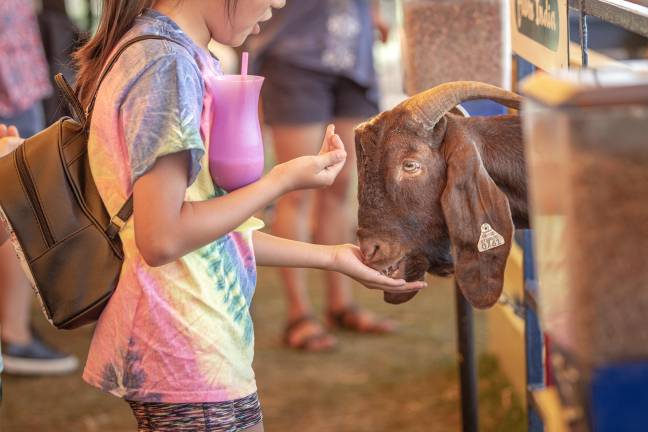 State Fair event schedule: Friday, Aug. 1-Opening day <b>The petting zoo is open daily at the fair. Animal lovers can also explore six barns of animals in the agriculture area.</b>