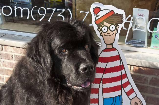 Waldo turns 25 Waldo the dog with Waldo the character outside Sparta Books