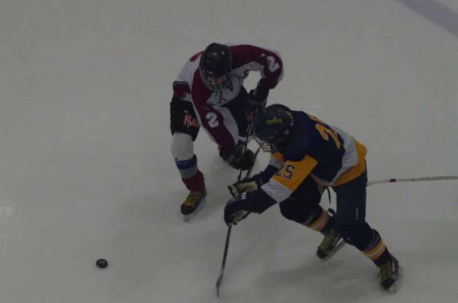 NLV's Brett Conrads (2) and Pequannock's Jake Tengi (25) go after the puck.