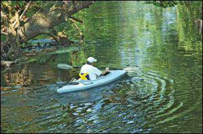 A Wawayanda Canoe Trail wander A Wawayanda Canoe Trail wander