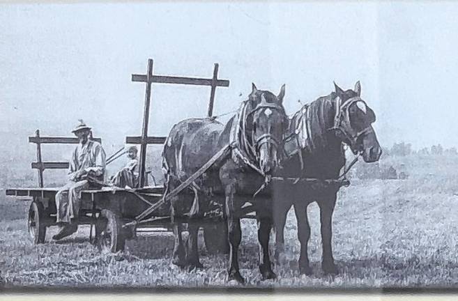 Sussex County History Today: Bellvale Farms <b>BT1 Waiting for hay at Bellvale Farms in Warwick, N.Y. (Photos courtesy of Amy Noteboom)</b>