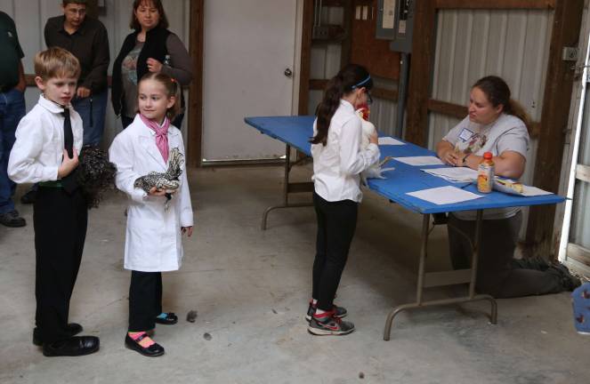 Junior Showmanship, where the children answer questions relating to bird parts and their care.