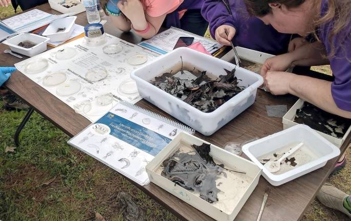 Scouts of America being trained in Leaf Pack Network protocol by Tara Muenz (not pictured) at Hemlock Farms in 2019 (Photo provided)