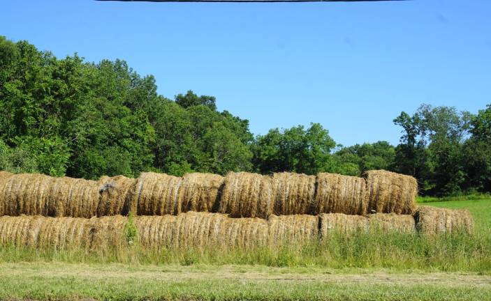 A reader who identified himself as Phil Dressner knew last week's photo was of the hay bales along Route 94 in Lafayette.