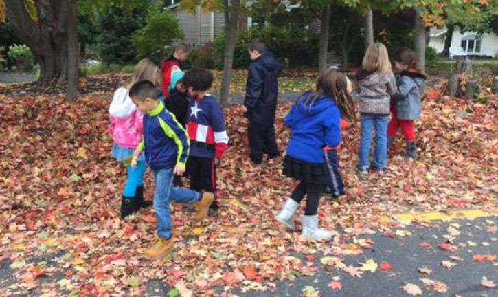 Students search for the perfect leaf.