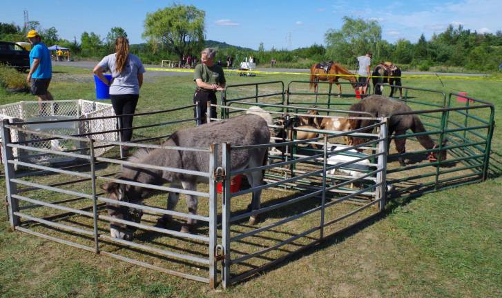 A petting zoo and pony rides were there for the children.
