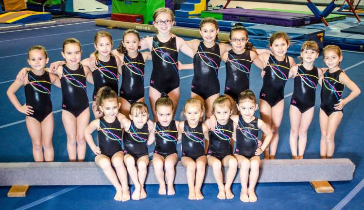 Westys Gymnastics off to a strong start Westys Gymnastics off to a strong start