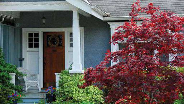 Curb appeal Curb appeal