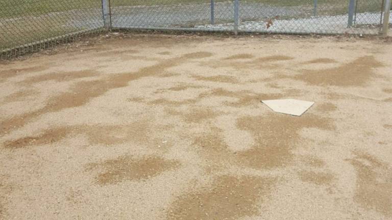 Franklin, Forward Alliance to partner to fix softball fieldd Franklin, Forward Alliance to partner to fix softball fieldd