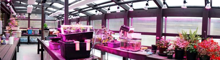 High Point opens new greenhouse The High Point Regional High School Greenhouse Hydroponic systems thrive.