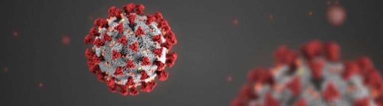 Sussex County COVID-19 update: Seven additional cases confirmed Sussex County COVID-19 update: Seven additional cases confirmed