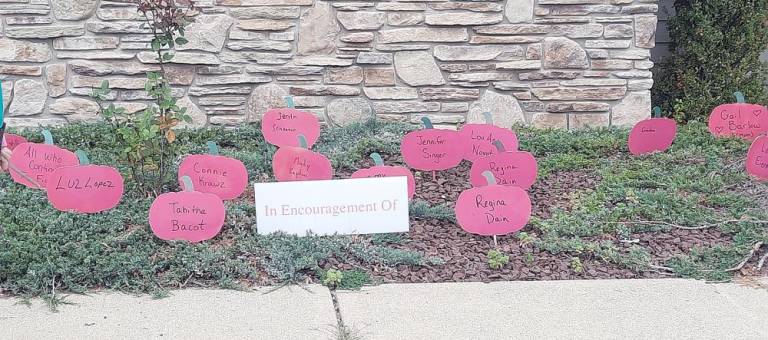 Pink pumpkins in encouragement of loved ones undergoing breast cancer treatment (Photo by Laura J. Marchese)