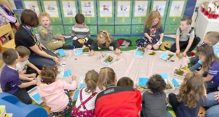 Franklin preschoolers investigate trees