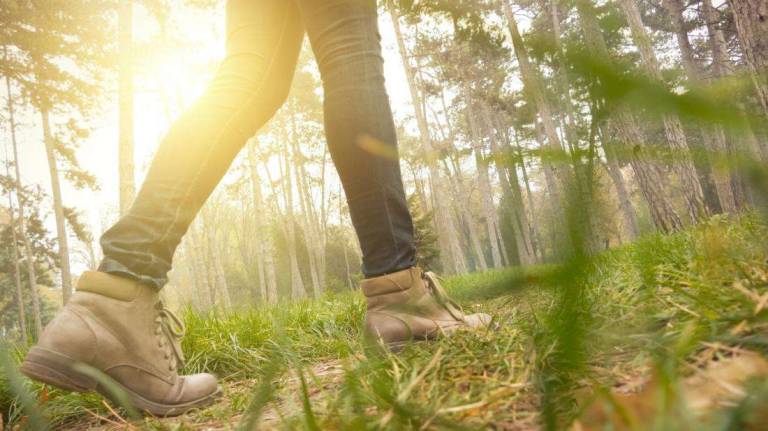Turn your walk into a mindful moment