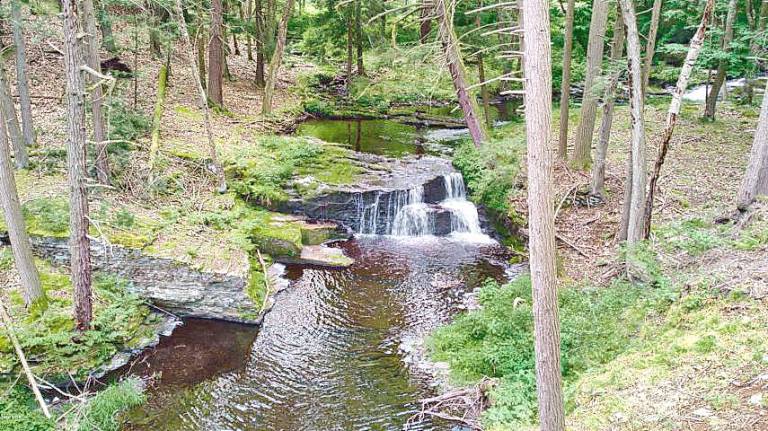 One-of-a-kind retreat on 13+ acres with trout stream Waterfalls