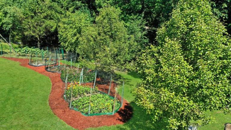 Secluded farmhouse on four acres comes with a green business default