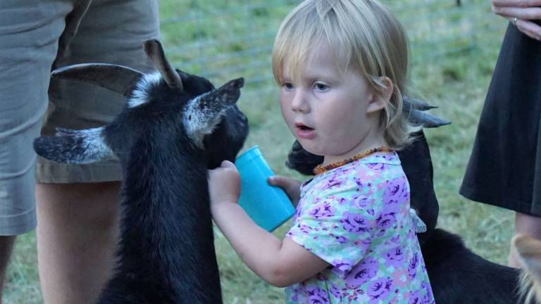 Sugar Sweet Farms opens petting zoo Sugar Sweet Farms opens petting zoo