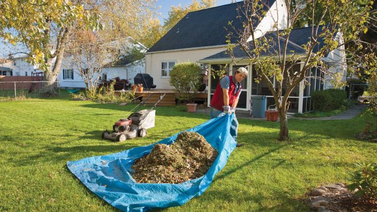 Getting rid of leaves Getting rid of leaves