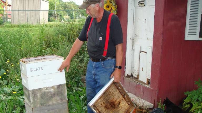 City folks turned beekeepers are as busy as bees City folks turned beekeepers are as busy as bees