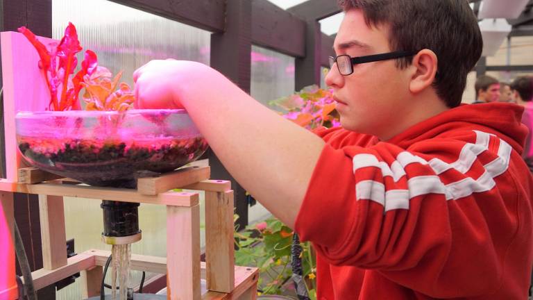 High Point opens new greenhouse High Point opens new greenhouse