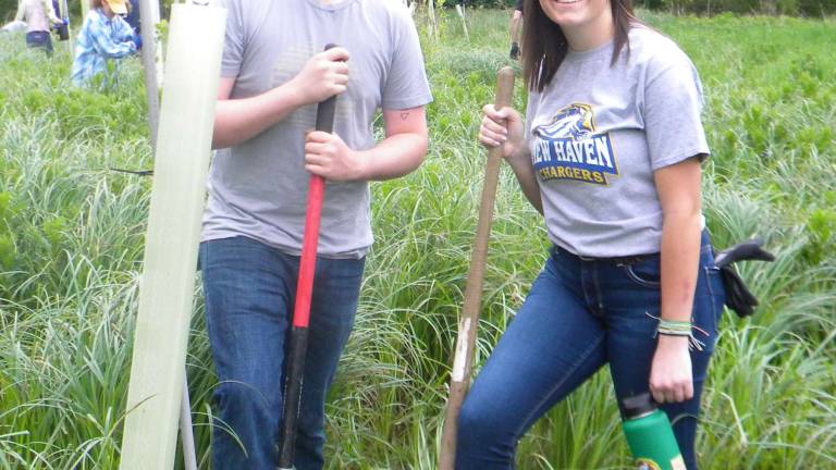 High Point class collaborates in tree planting High Point class collaborates in tree planting