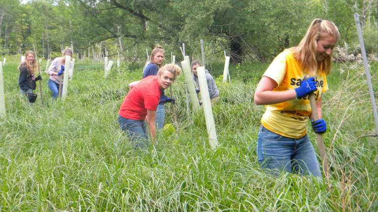 High Point class collaborates in tree planting High Point class collaborates in tree planting
