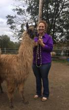 Grace Honigsberg reins in her favorite alpaca at her family’s fiber farm in Frankford. (Photo provided)