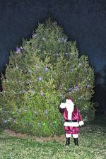Santa Claus is shown in front of a Christmas tree.
