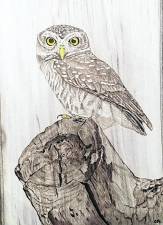 Sussex County Art Society to feature pyrography demonstration