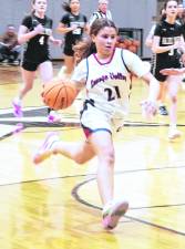 Lenape Valley's Zoey Rosario handles the ball during a fast break play. Rosario scored 7 points.