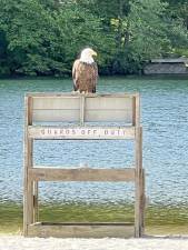 New ‘lifeguard’ on duty at Pleasant Valley Lake