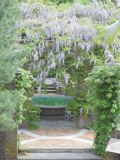 Wisteria in bloom at the popular fingerbowl outdoor dining table (Photo provided)