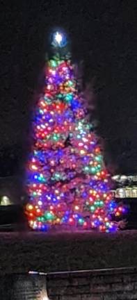 Hardyston’s Christmas tree is lit Friday, Dec. 1. The celebration was moved inside the municipal building because of rain.