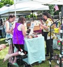 Visitors check out a booth at Ogdensburg.