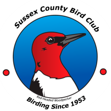 Sussex County Bird Club meets tonight