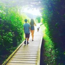 The boardwalk in Vernon, part of the Appalachian Trail and the Vernon Greenway (Photo provided)