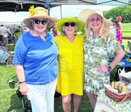 NJ Polo will host a match at the Grayfields Polo Club to raise funds for Project Self-Sufficiency.