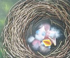 Birds Nest, Laura Dudes